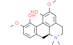 Magnoflorine 2141-09-5